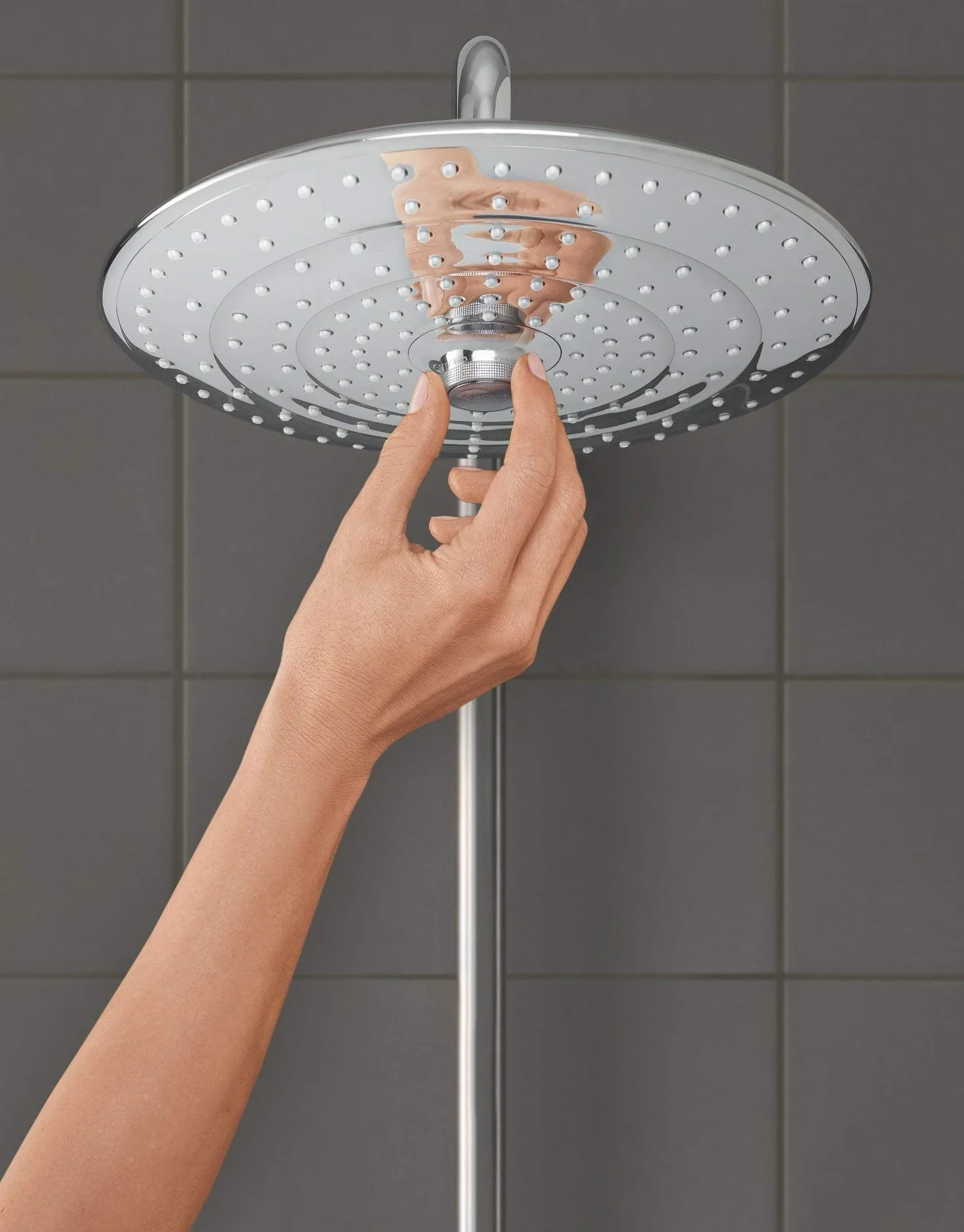 Grohe Euphoria Słuchawka Prysznicowa, Srebrny, 1 Sztuka